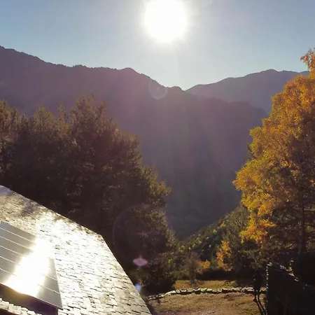 Bordes Pirineu, Pintor